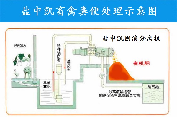 小蝌蚪免费观看视频大全