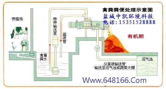 小蝌蚪免费观看视频大全示意图